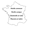 Carte Secrets des forêts humides