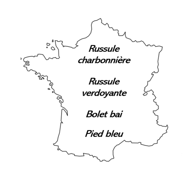 Carte Délices méconnus de la forêt